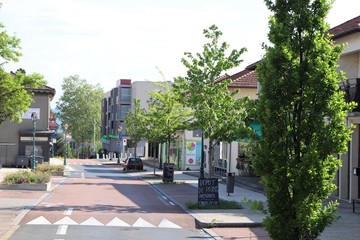 La rue Centrale à Corbas - Village de Corbas - Département du Rhône - France