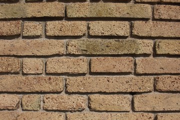light brown brick wall close up background