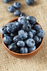 wet blueberries in a plate