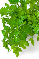 parsley on white background