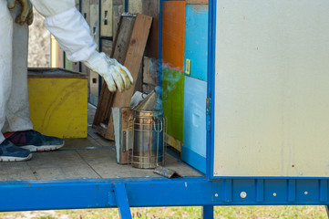 Beekeeper working collect honey. Beekeeping concept.Man and insect