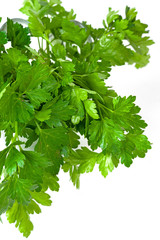 parsley isolated on white background