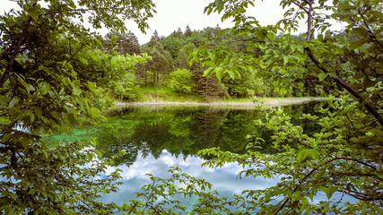 Nature landscape with a green forrest and lake