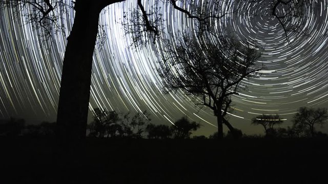 Southern circle star trails (streaks) timelapse of the African bush, southern hemisphere, silhouette Marula trees in nature reserve South Africa, starry night and dark skies.
