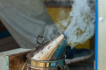 Beekeeper working collect honey. Beekeeping concept.Man and insect