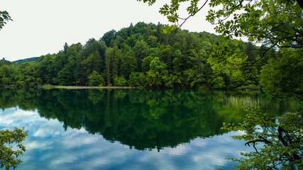 Nature landscape with a green forrest and lake