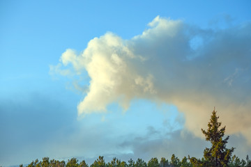 Landscape-clouds float over the tops of trees in the summer sky