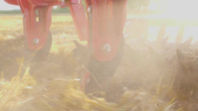 tractor in the field for tillage and cultivation 