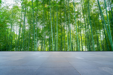 Background materials of green bamboo forest..