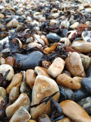 cantos rodados playa costa piedras macro