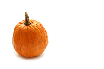 Large pumpkin on a white background with space for text
