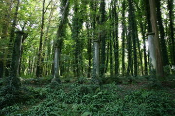 Le château de Courances dans l'Essonne, France.