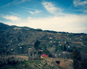 Fototapety na wymiar - Fototapeta24.pl