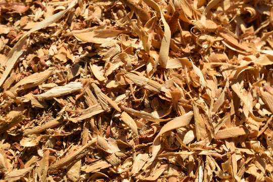 close up of a wood shavings