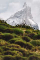 Torres del Paine, contrasti primaverili