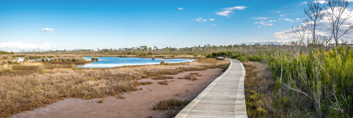 Winding boardwalk passing through Warringine Wetlands reserve in Hastings, Victoria, Ausralia
