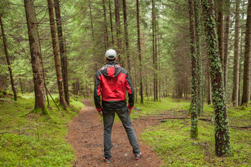 Obraz premium A trekker walking solo among the forest in a cloudy day