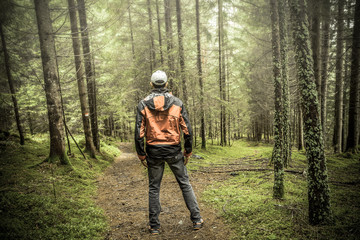 Naklejka premium A trekker walking solo among the forest in a cloudy day
