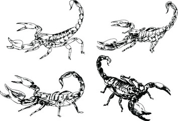 vector drawings sketches different insects bugs Scorpions spiders drawn in ink by hand , objects with no background