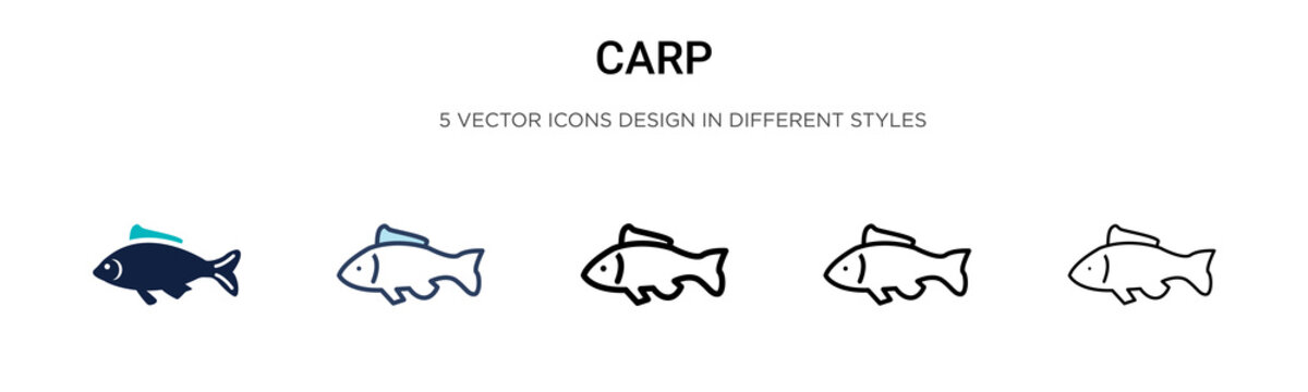 Carp icon in filled, thin line, outline and stroke style. Vector illustration of two colored and black carp vector icons designs can be used for mobile, ui, web