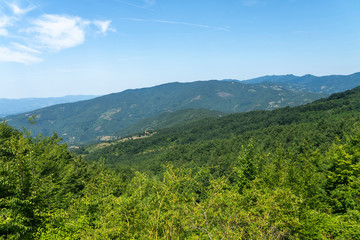 Fototapeta na wymiar Summer landscape near La Verna, Tuscany