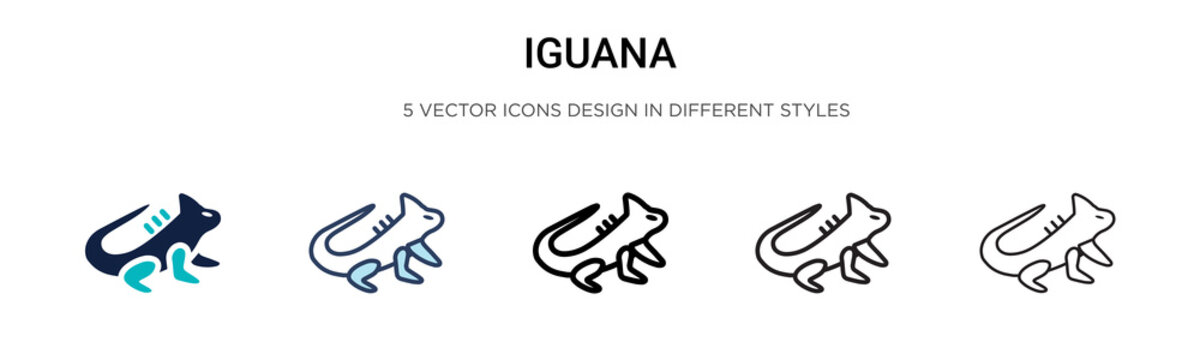 Iguana icon in filled, thin line, outline and stroke style. Vector illustration of two colored and black iguana vector icons designs can be used for mobile, ui, web