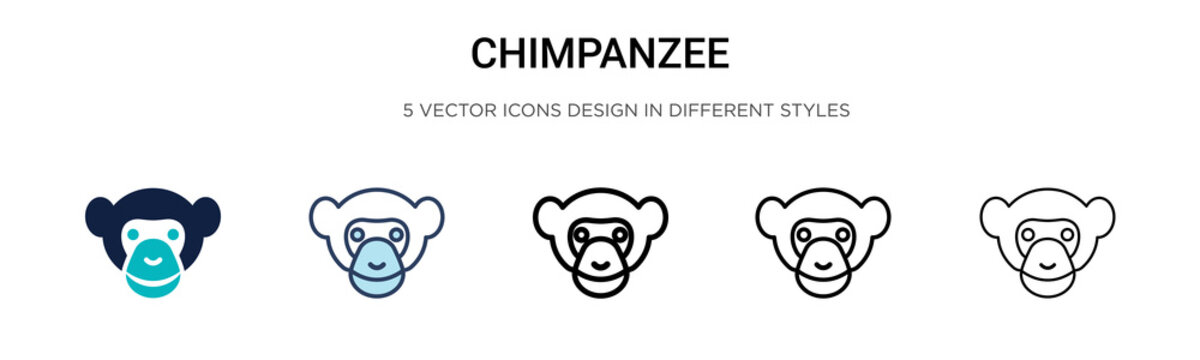 Chimpanzee icon in filled, thin line, outline and stroke style. Vector illustration of two colored and black chimpanzee vector icons designs can be used for mobile, ui, web