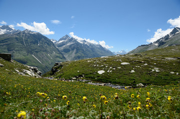 Himalaya Landscape