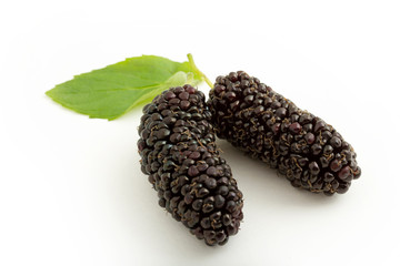 fresh and ripe mulberries background
