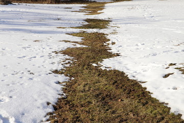 Melted snow on the grass. Bad isolation concept. Underground heating line. Melted snow  shows where heat loss from underground pipes occurs in the winter.
