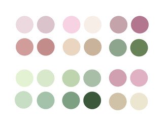 neutrals color palette, procreate  swatches. Highlights of Cover Stories.