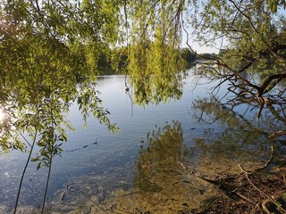 Fototapete bei efototapeten.de bestellen   