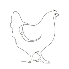 chicken, hen bird. Poultry, broiler, farm animal feeding. Vintage Easter card. Egg packaging design. Realistic sketch, line, silhouette, engraving illustration.