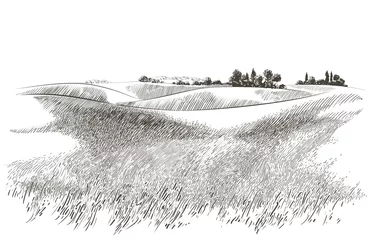 Rolgordijnen Vector schets Groen grasveld op kleine heuvels. Weide, alkali, loog, grasland, pommel, lea, weiland, boerderij. Landelijk landschap landschap panorama van platteland weiden. illustratie © mozart3737