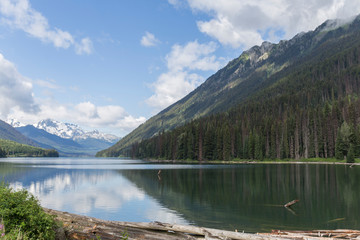 Fototapeta na wymiar calm water lake reflecting trees, mountains and blue sky