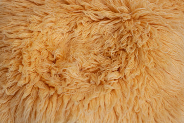 fur yellow  texture background