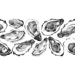 Seamless border with pacific oysters. Pencil hand drawn sketch of edible molusk.