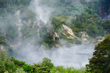 Obraz na płótnie Canvas WAIMANGU VOLCANIC VALLEY, NEW ZEALAND - MARCH 03, 2020: Frying pan lake with a mist rising from the trees and the rocks around