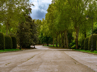 Madrid / Spain-04/19/20  long wooded path in the urban park of the good retreat in madrid. pleasantly empty from the covid 19 pandemic