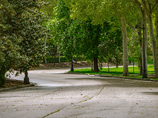 Madrid / Spain-04/19/20  long wooded path in the urban park of the good retreat in madrid. pleasantly empty from the covid 19 pandemic