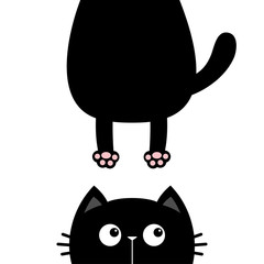 Black cat look right side. Funny face head silhouette. Hanging fat body paw print, tail. Kawaii animal. Baby card. Notebook cover. Cute cartoon character. Pet collection. Flat. Blue background.
