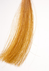 close-up shot of yellow hair sample.