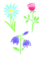 vector wildflowers rose daisy bellflower