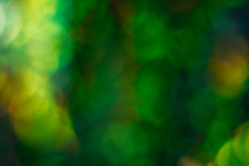 Colorful like parrot abstract composition. Yellow, green Macro