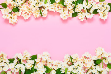 Fototapeta na wymiar Jasmine, Philadelphus or mock-orange flowers border on pink background. Copy space, top view. Summer, spring background.