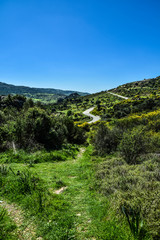 Fototapeta na wymiar Trudos Mountains, Cyprus
