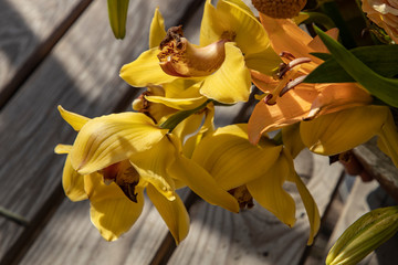 Yellow orchid in a flower arrangement on a wooden table