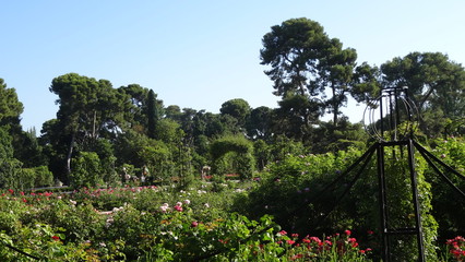 Madrid is the capital of Spain, a beautiful city