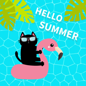 Black cat floating on white flamingo pool float water circle. Swimming pool water. Hello Summer. Top air view. Sunglasses. Lifebuoy. Palm tree leaf. Cute cartoon relaxing character. Flat design.