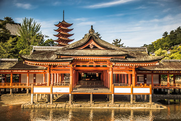 Naklejka premium Roter Tempel auf Miajima